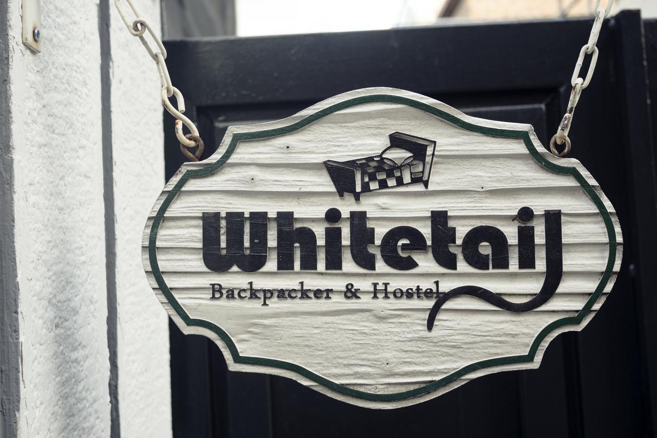 Whitetail Guesthouse Seoul Luaran gambar